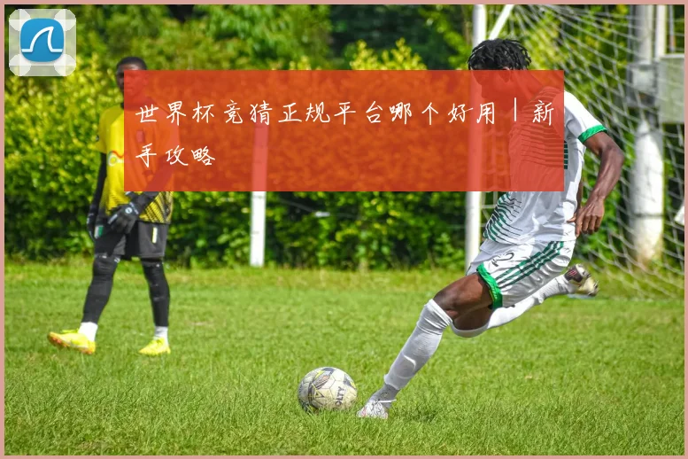 世界杯竞猜正规平台哪个好用｜新手攻略