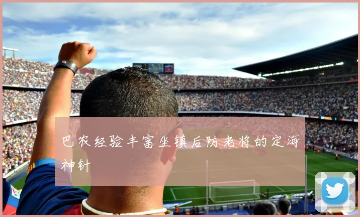 巴农经验丰富坐镇后防老将的定海神针