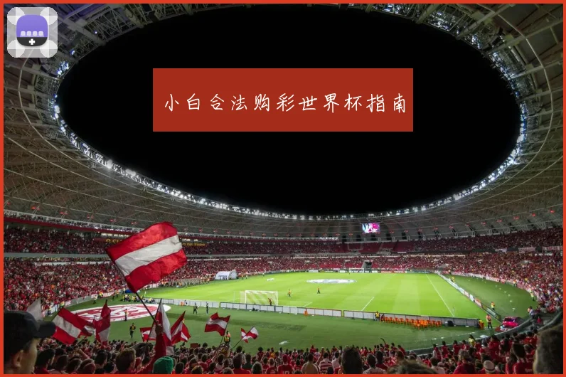 小白合法购彩世界杯指南