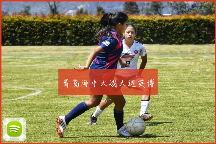青岛海牛大战大连英博