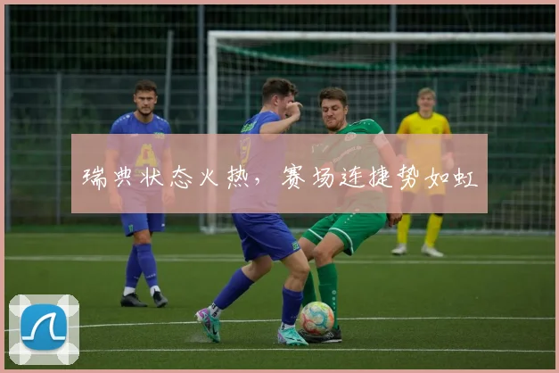 瑞典状态火热，赛场连捷势如虹