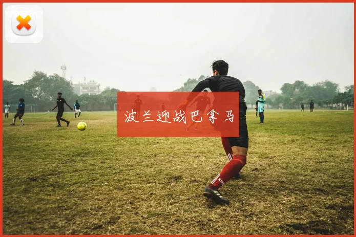 波兰迎战巴拿马