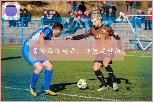 黄蜂压哨绝杀：惊险逆转胜