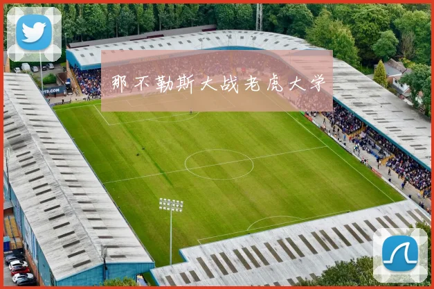 那不勒斯大战老虎大学
