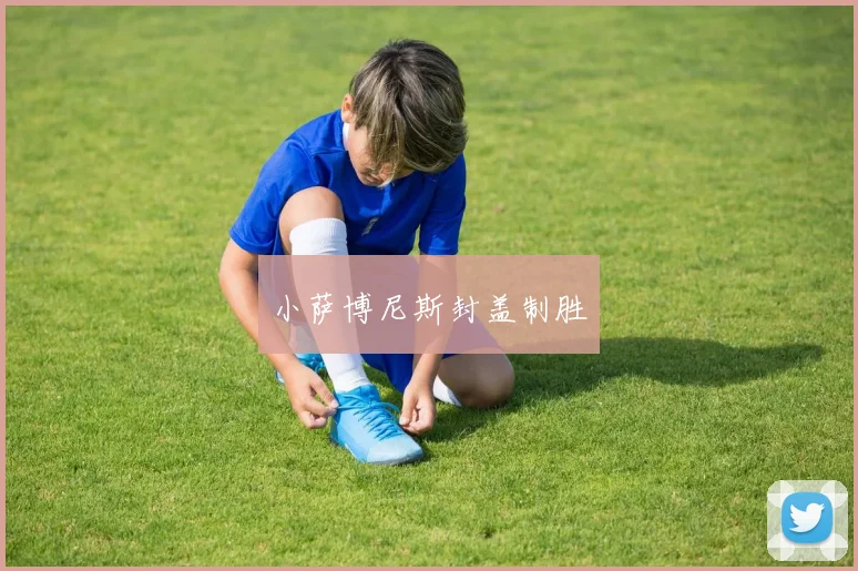 小萨博尼斯封盖制胜
