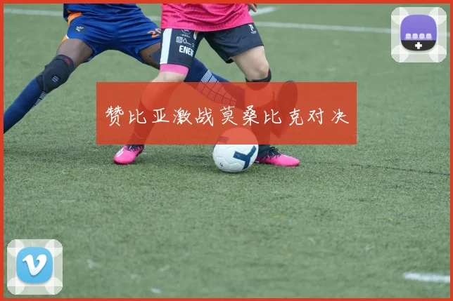 赞比亚激战莫桑比克对决