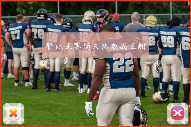 赞比亚赛场火热激战正酣