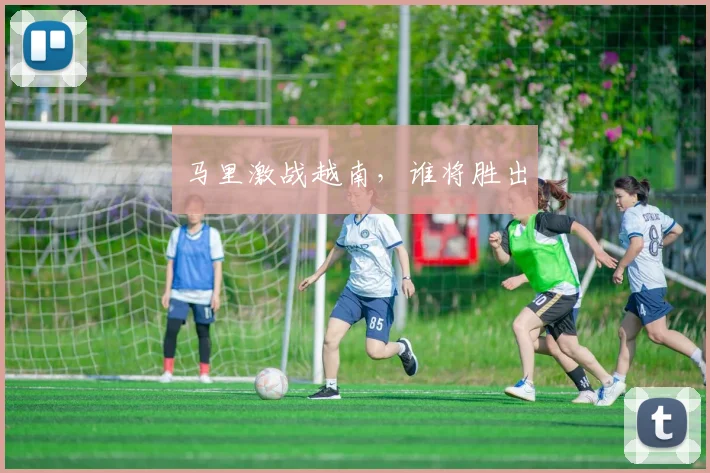 马里激战越南，谁将胜出
