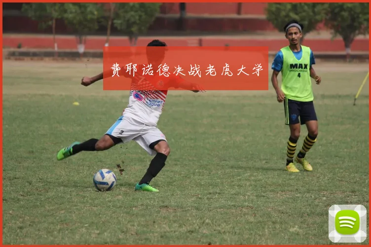 费耶诺德决战老虎大学