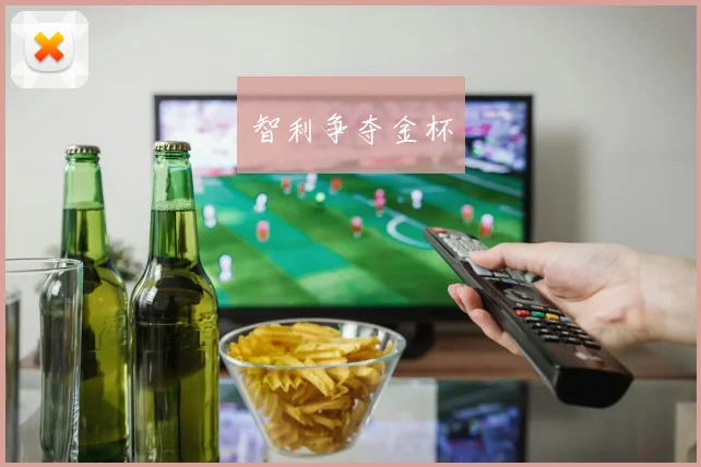 智利争夺金杯