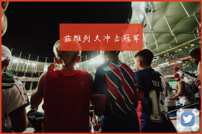 兹维列夫冲击冠军