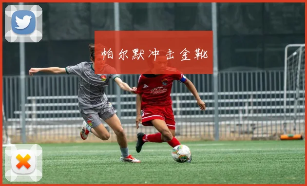 帕尔默冲击金靴