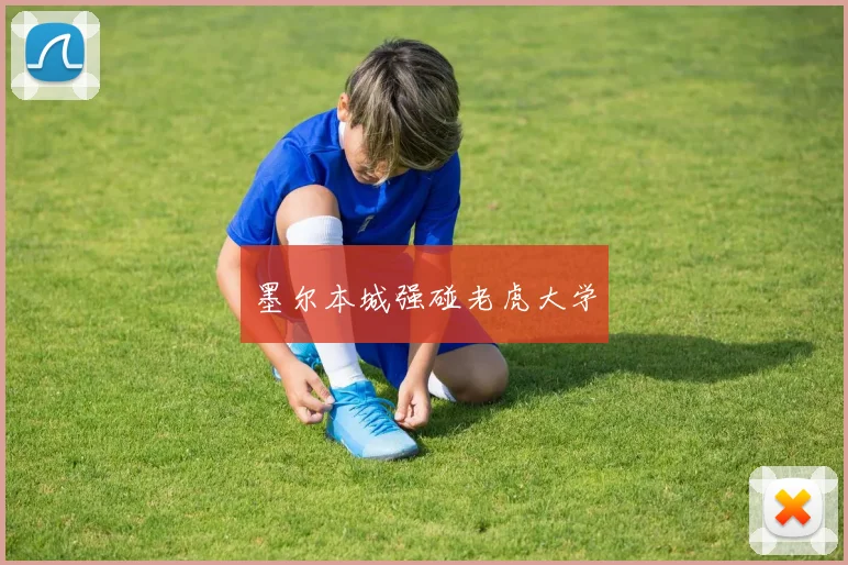 墨尔本城强碰老虎大学