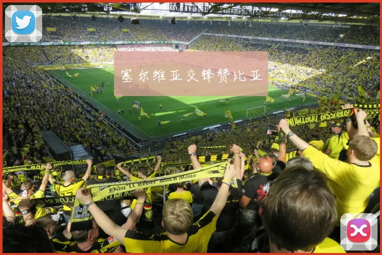 塞尔维亚交锋赞比亚