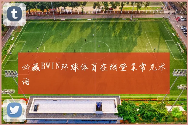 必赢BWIN环球体育在线登录常见术语