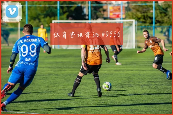 6月18日加拿大vs卡塔尔传控比例