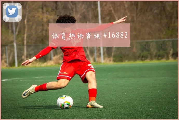 D组巴拉圭vs澳大利亚边锋对位