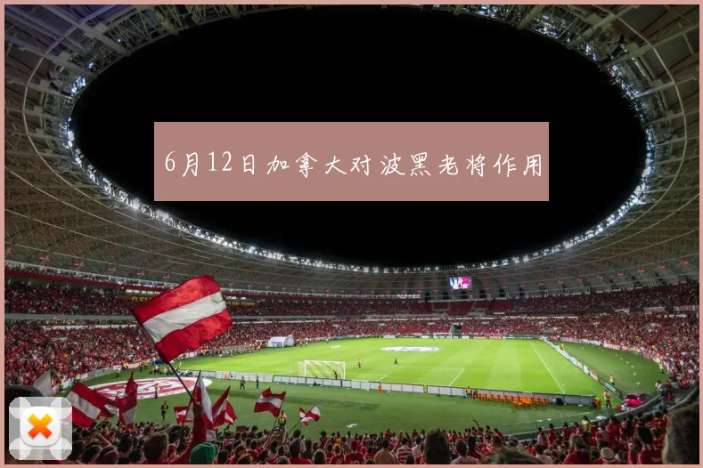 6月12日加拿大对波黑老将作用