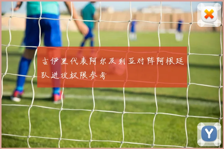 古伊里代表阿尔及利亚对阵阿根廷队进攻权限参考